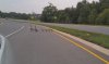 2 geese 4 goslings.jpg