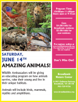 June 2014 - 2nd Saturday program flyer.png