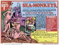 sea monkey.jpg