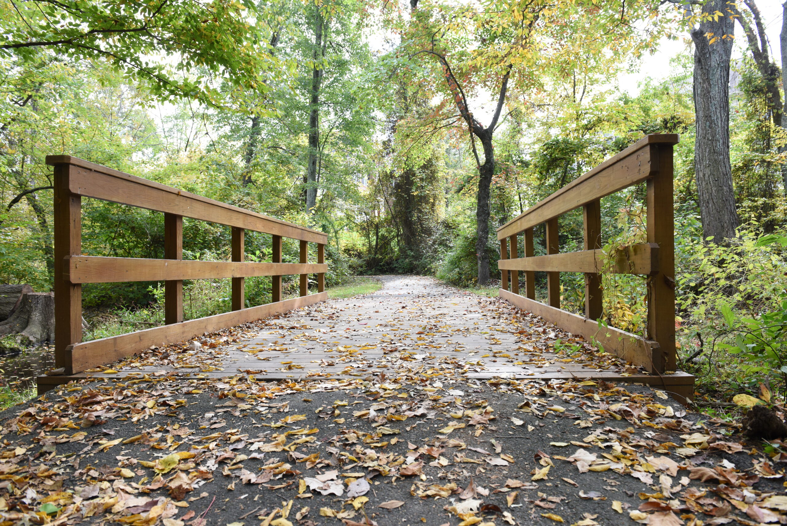 Indulge In Unparalleled Comfort Find Your Sanctuary At Broadlands Apts Ashburn Va - ynpbdgg