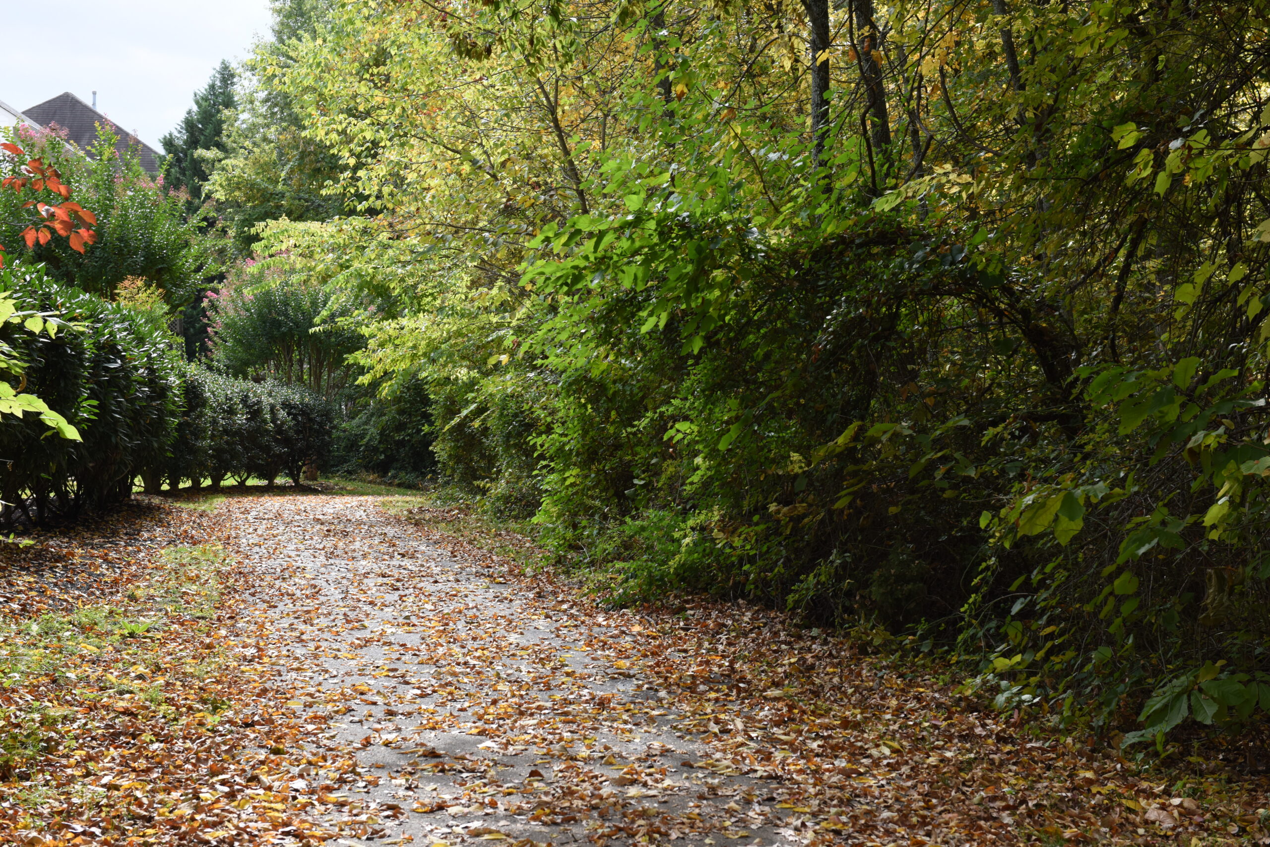 About Broadlands Broadlands HOA in Virginia