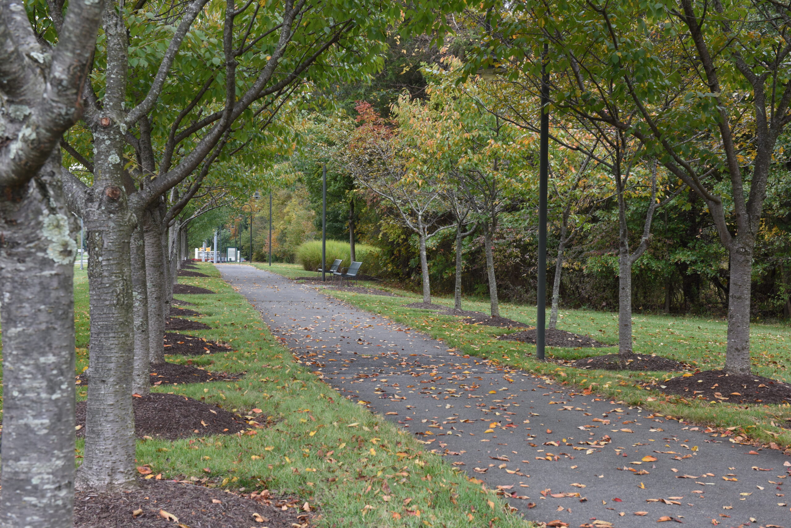 About Broadlands Broadlands HOA in Virginia